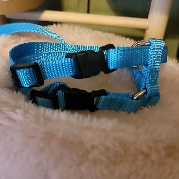 XS/SMALL Leash and Body Collar Set - Picture 4 of 5
